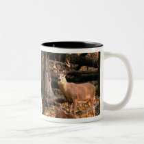 HUGE BUCK!  MUG mugs