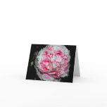 Huge Flower NoteCards