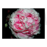 Huge Flower NoteCards