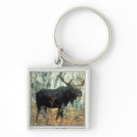 Huge Moose Key Chain