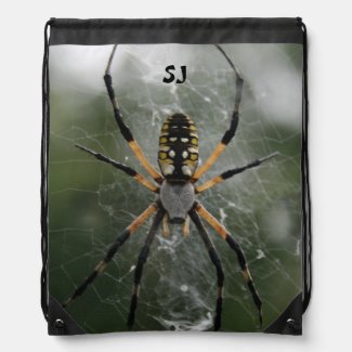 Huge Spider / Yellow & Black Argiope Custom