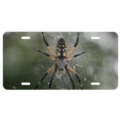 Huge Spider / Yellow & Black Argiope License Plate