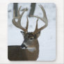 Huge Whitetail Buck Mousepad