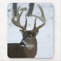 Huge Whitetail Buck mousepads
