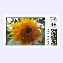 Huggable Sunflower postage