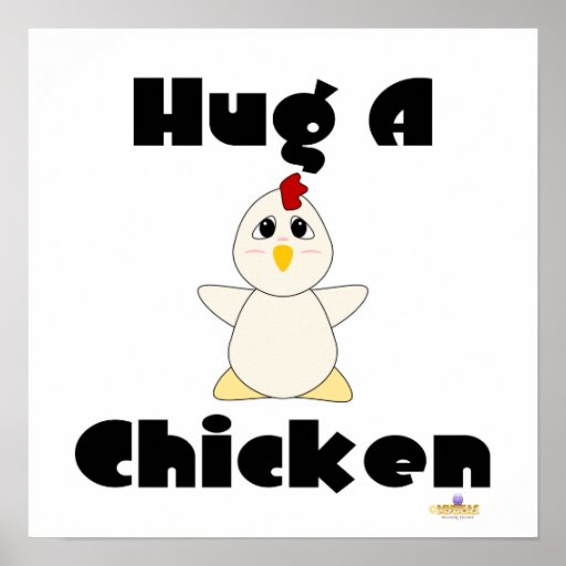Huggable White Chicken Hug A Chicken Poster