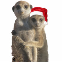 Hugging meerkats Ornament Photo Cutouts