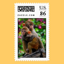 Macaque Monkey Postage Stamps