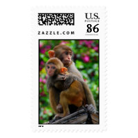 Hugging Monkeys Postage stamp