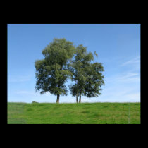 Hugging Trees posters