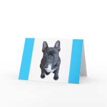 Hugo Card
