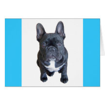 Hugo Card