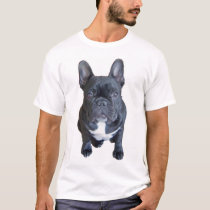 Hugo Puppy II t-shirts