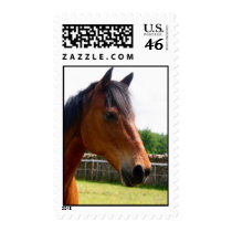 Hugo the Horse stamps