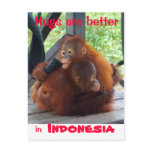 Hugs are Better in Indonesia Postcard