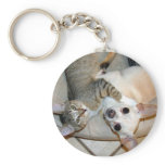 HUGS keychains