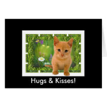 Hugs N Kisses Kitten Card
