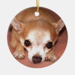 Hugs Please Christmas Tree Ornament