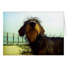 Huh? Greeting Card