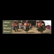 Hula Show bumper stickers