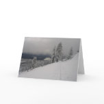 Hull Mt. Christmas card