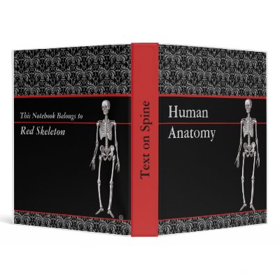 human anatomy skeleton. human anatomy skeleton.