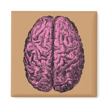 Human Anatomy Brain Fridge Magnet