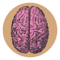 Human Anatomy Brain Sticker