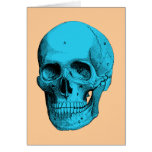 Human Anatomy Skull Greeting Cards