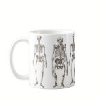 Human and Ape Skeletons Primate Missing Link Mug mugs