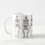 Human and Ape Skeletons Primate Missing Link Mug