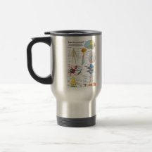 Human Brain and Central Nervous System Diagram Coffee Mug