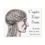 Human Brain Illustration Cogito Ergo Sum postcards