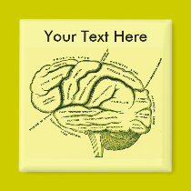 Human Brain magnets