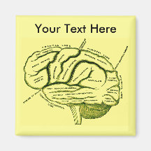 Human Brain Refrigerator Magnets