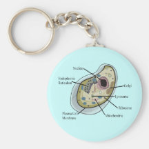 Human Cell Biology T-Shirts Keychain
