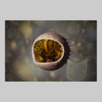 Human Cell posters