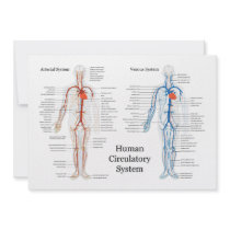 Human Circulatory System of Arteries and Veins Custom Invite