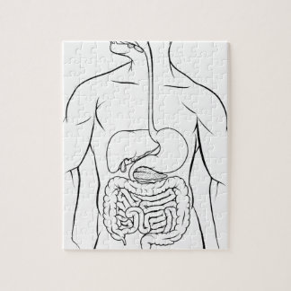 Digestive System Jigsaw Puzzles | Zazzle
