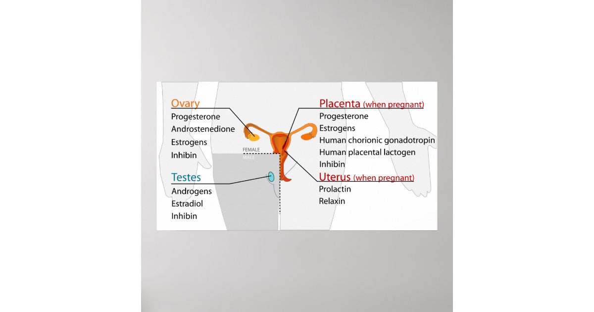 buy flux coordinates and magnetic field structure a guide to a fundamental tool of plasma