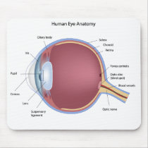 Human Eye Anatomy Mousepad