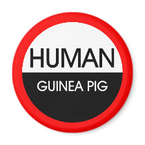 Human Guinea Pig magnets by ToucanIsland Human Guinea Pig magnets