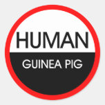 Human Guinea Pig Stickers