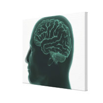 Human head in profile showing the brain canvas prints