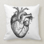 Human heart - anatomy pillows