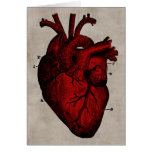 Human Heart Card cards