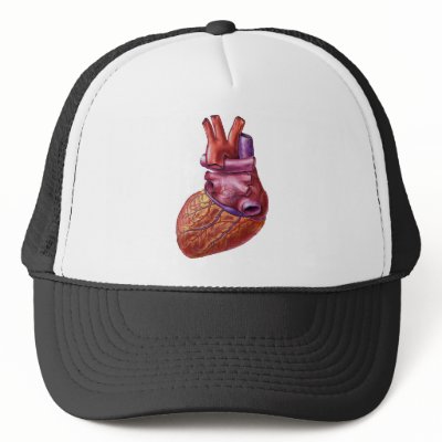 Cool Human Heart