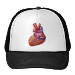 human heart hat