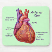 Human Heart Labeled Mousepad