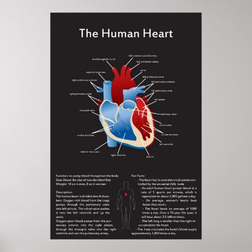 the human heart in conflict Religion has been implicated in all sorts of conflict and violence throughout human history which is at its heart non-violent and a force for good. the human heart in conflict Religion has been implicated in all sorts of conflict and violence throughout human history which is at its heart non-violent and a force for good.